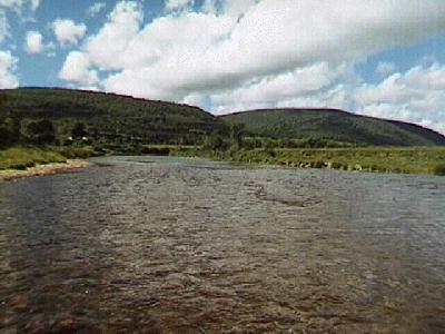 Margaree River